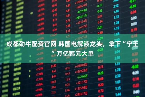 成都劲牛配资官网 韩国电解液龙头，拿下“宁王”万亿韩元大单